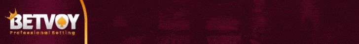 Betvoy Casino